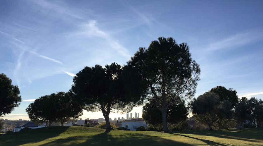 Campo 2
