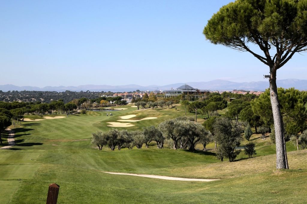 Fairway at Golf Santander in Madrid framed by an umbrella pine, with mountains on the horizon