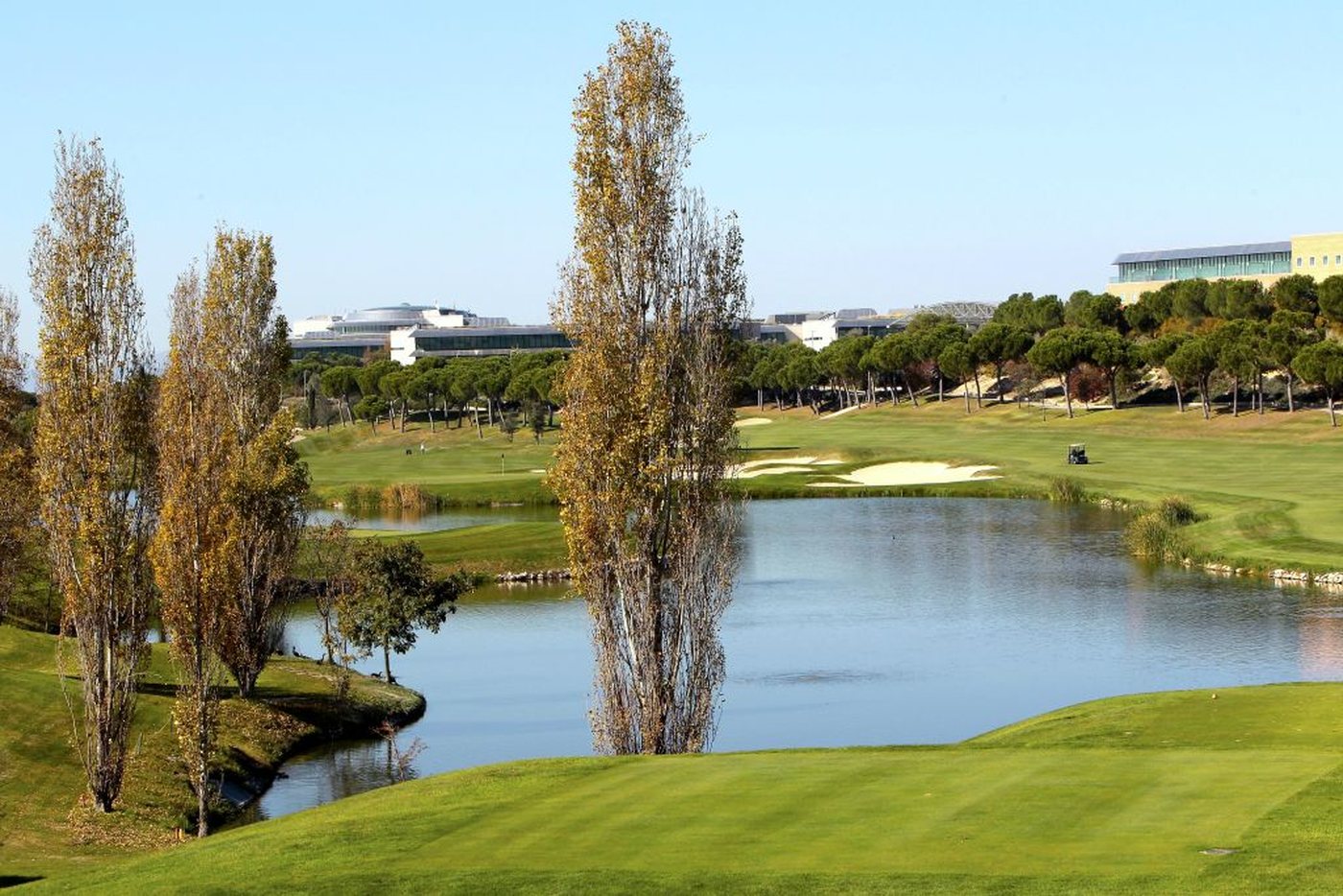 Lake framed by autumn poplars beside a green at Golf Santander, Madrid, under a clear blue sky