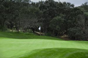 Golf Real Sociedad Hípica Española y Club de Campo23